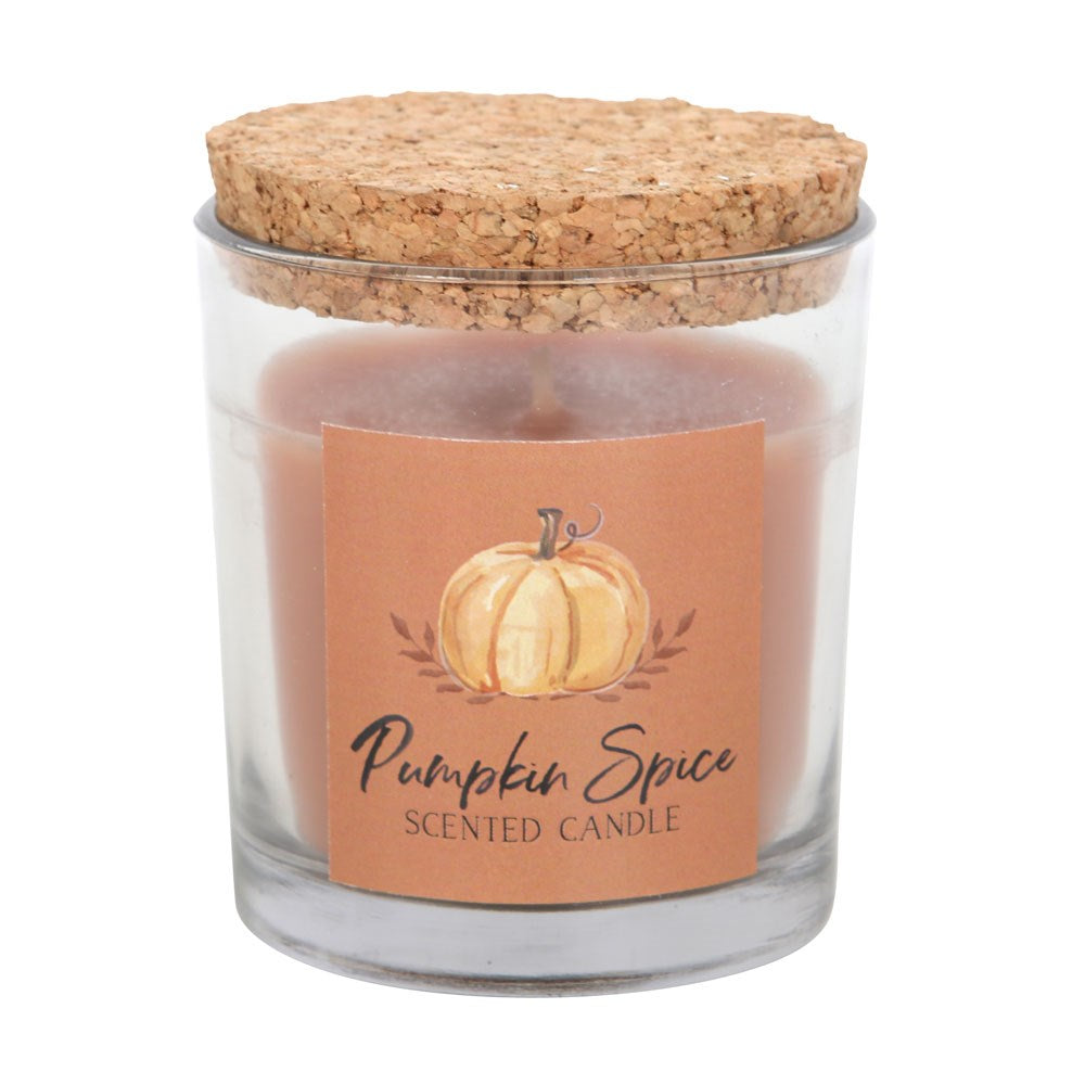 Pumpkin Spice Autumn Candle In a Jar